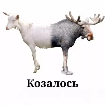 http://upforme.ru/uploads/0015/14/ca/6/t404869.webp
