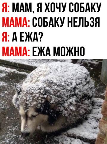 http://upforme.ru/uploads/0015/14/ca/6/t481531.jpg