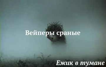 http://upforme.ru/uploads/0015/14/ca/6/t534410.webp