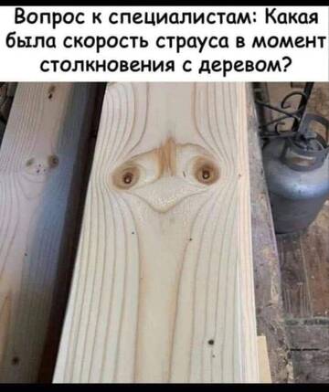 http://upforme.ru/uploads/0015/14/ca/6/t608847.jpg