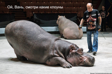 http://upforme.ru/uploads/0015/14/ca/6/t67535.png