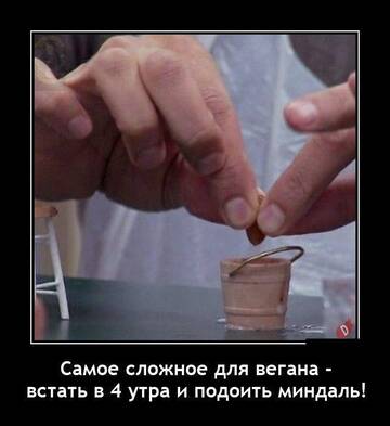http://upforme.ru/uploads/0015/14/ca/6/t729978.jpg
