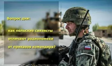 http://upforme.ru/uploads/0015/14/ca/6/t775473.webp