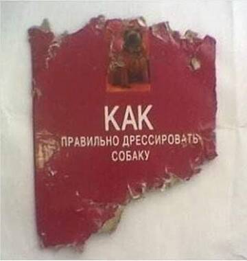 http://upforme.ru/uploads/0015/14/ca/6/t802349.jpg