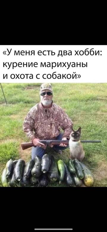 http://upforme.ru/uploads/0015/14/ca/6/t806986.jpg