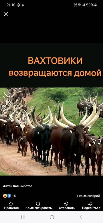 http://upforme.ru/uploads/0015/14/ca/6/t869851.jpg