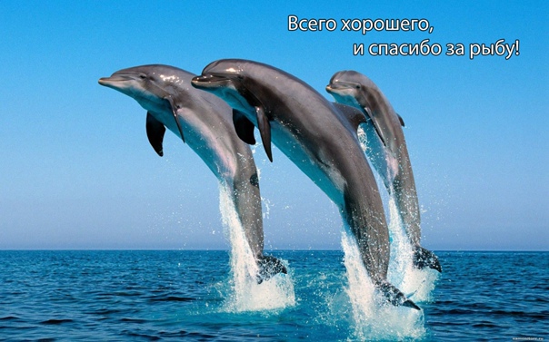 http://upforme.ru/uploads/0015/14/ca/8/61813.jpg