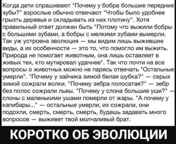 http://upforme.ru/uploads/0015/14/ca/9/t611689.jpg
