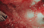 http://upforme.ru/uploads/0015/49/40/2/484296.gif