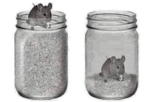   &quot;,  &quot;:    