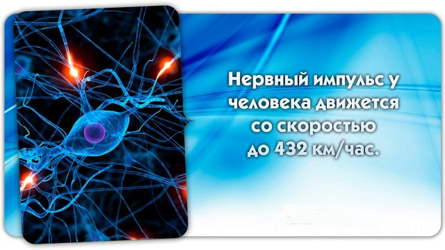 http://upforme.ru/uploads/0015/99/60/3/462704.png