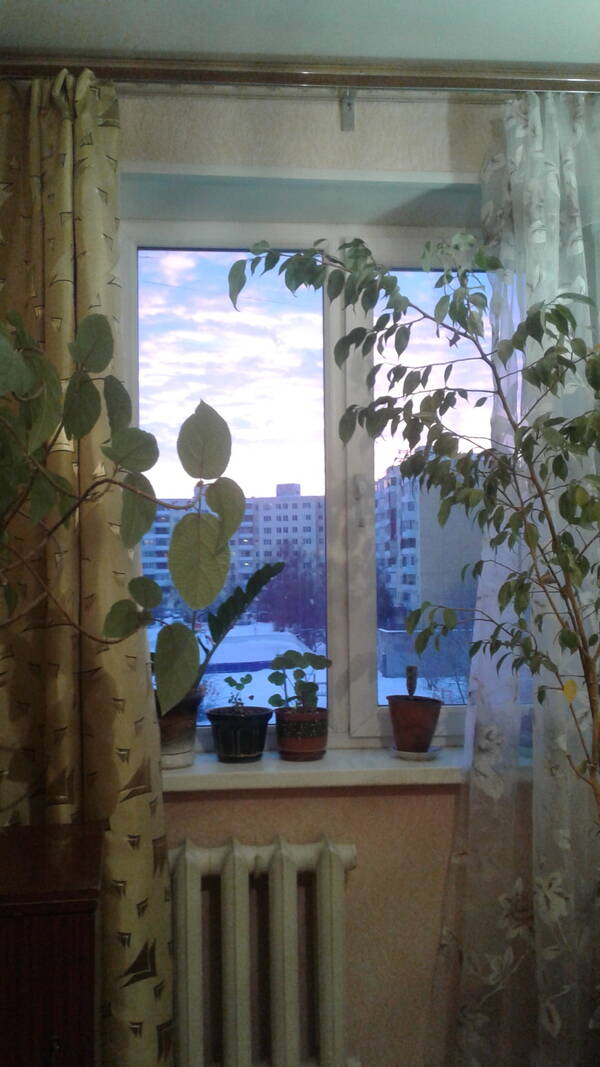 http://upforme.ru/uploads/0015/9c/8f/2/t688057.jpg