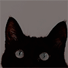 http://upforme.ru/uploads/0015/be/8c/3/195626.gif