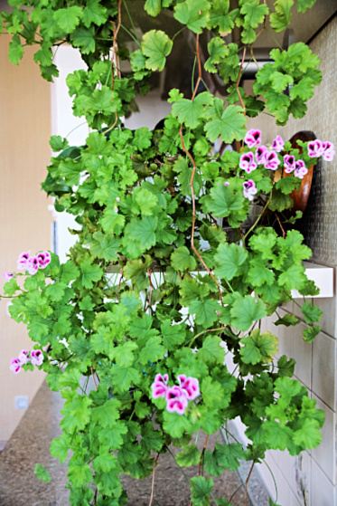 http://upforme.ru/uploads/0015/c3/df/2/417632.jpg