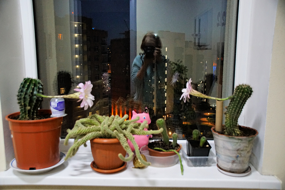 http://upforme.ru/uploads/0015/c3/df/2/824424.jpg