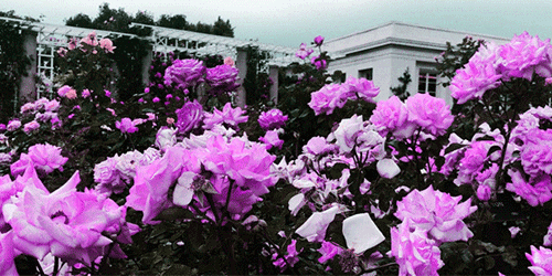 http://upforme.ru/uploads/0015/e5/b7/756/378830.gif