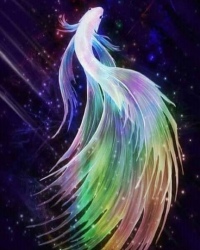 http://upforme.ru/uploads/0015/e9/2d/17/988849.jpg