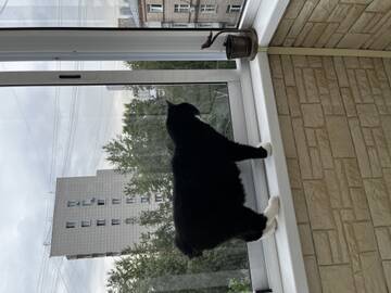 http://upforme.ru/uploads/0015/ec/20/9/t257931.jpg