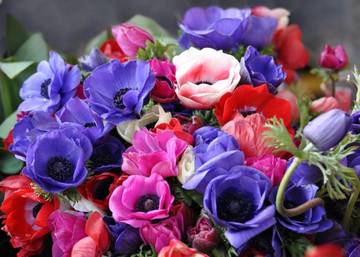 http://upforme.ru/uploads/0015/ec/20/9/t84424.jpg