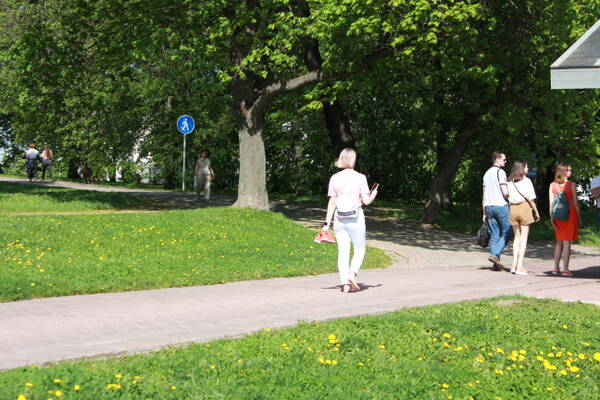 http://upforme.ru/uploads/0015/ec/e0/1198/t56859.jpg
