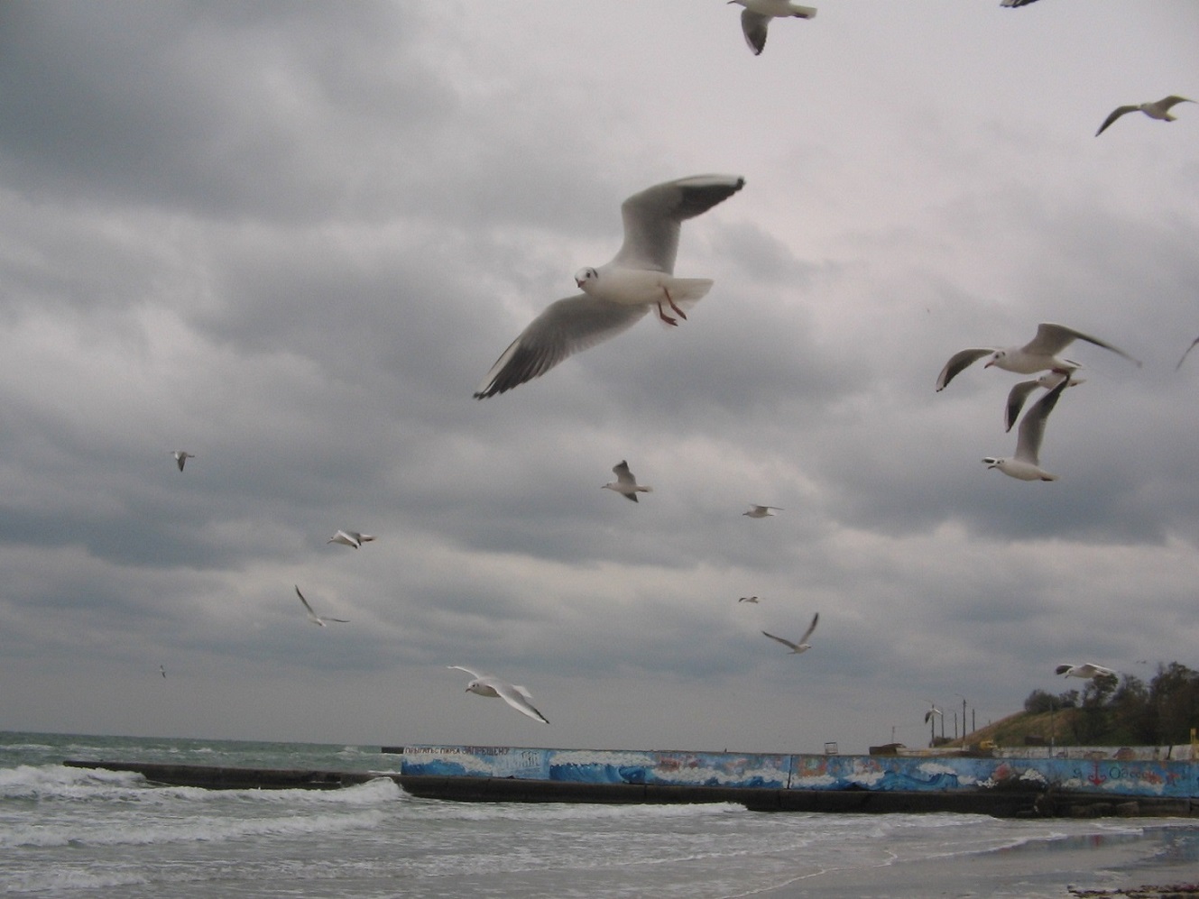 http://upforme.ru/uploads/0015/ec/e0/1538/196183.jpg