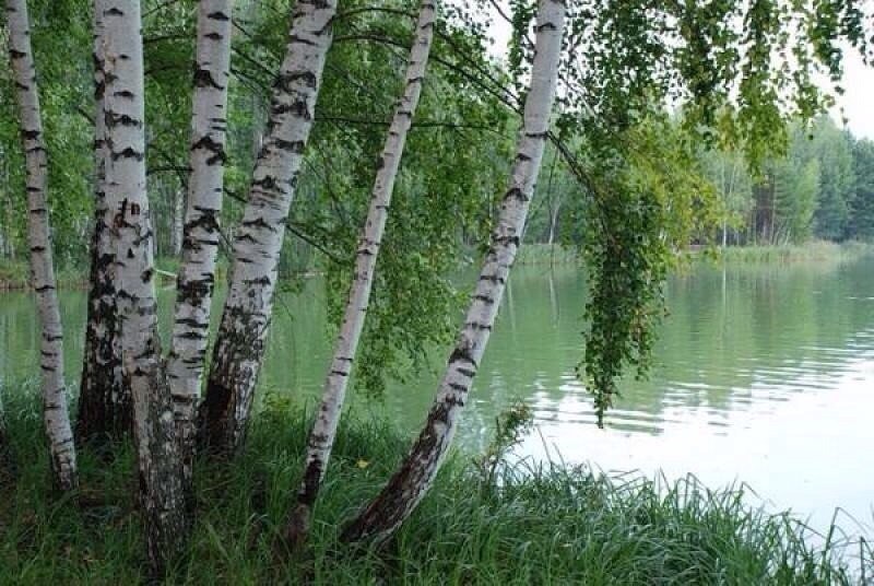 http://upforme.ru/uploads/0015/ec/e0/1538/281910.jpg