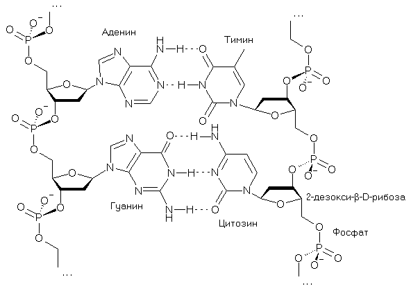 http://upforme.ru/uploads/0015/ec/e0/1538/282739.png