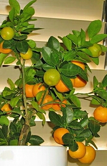 http://upforme.ru/uploads/0015/ec/e0/1538/456821.jpg
