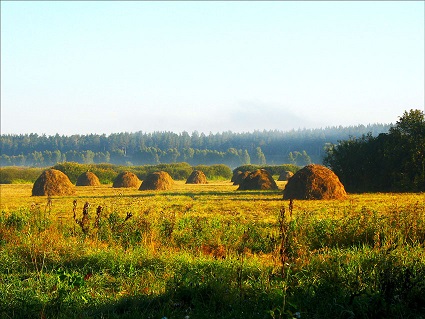 http://upforme.ru/uploads/0015/ec/e0/1538/693039.jpg