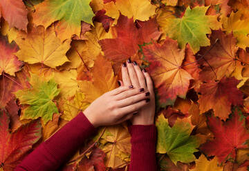 http://upforme.ru/uploads/0015/ec/e0/1538/t652948.jpg