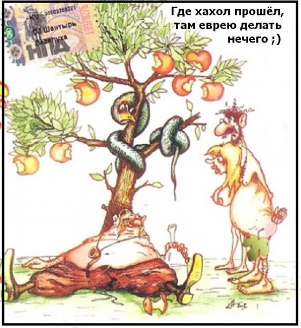 http://upforme.ru/uploads/0015/ec/e0/1884/461410.jpg