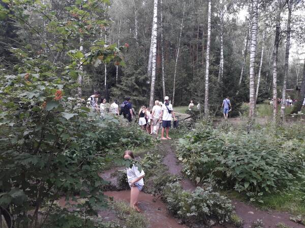 http://upforme.ru/uploads/0015/ec/e0/2307/t449997.jpg