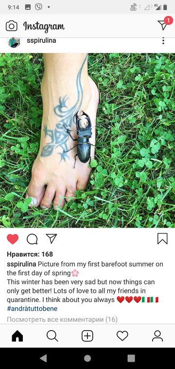 http://upforme.ru/uploads/0015/ec/e0/943/t15197.png
