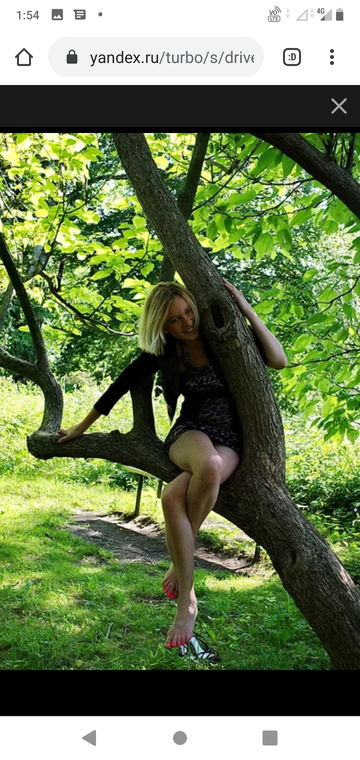 http://upforme.ru/uploads/0015/ec/e0/943/t379409.png