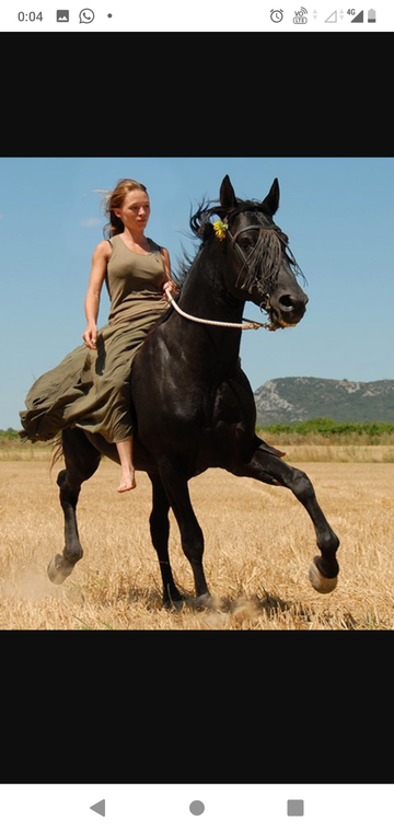 http://upforme.ru/uploads/0015/ec/e0/943/t382667.png