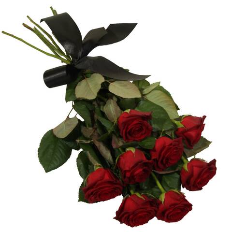 http://upforme.ru/uploads/0015/f8/d0/120/t537907.jpg