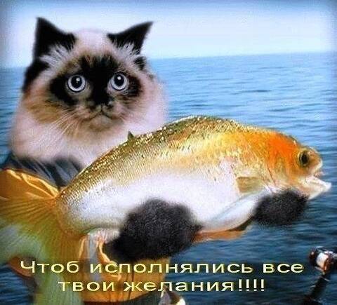 http://upforme.ru/uploads/0015/f8/d0/120/t937820.jpg