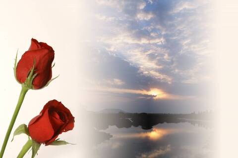 http://upforme.ru/uploads/0015/f8/d0/120/t955449.jpg