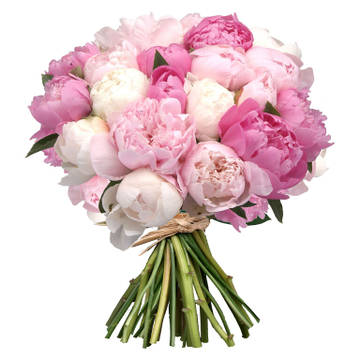 http://upforme.ru/uploads/0015/f8/d0/19/t397538.jpg