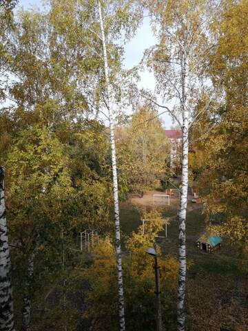 http://upforme.ru/uploads/0015/f8/d0/19/t431502.jpg