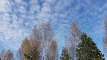 http://upforme.ru/uploads/0015/f8/d0/19/t781384.jpg