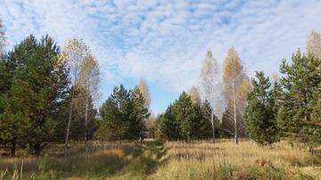 http://upforme.ru/uploads/0015/f8/d0/19/t821918.jpg