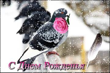http://upforme.ru/uploads/0015/f8/d0/19/t832719.jpg