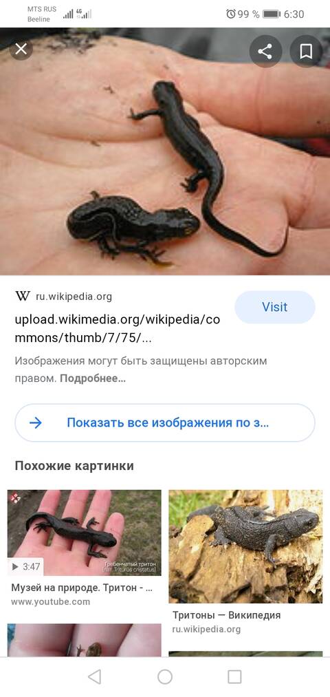 http://upforme.ru/uploads/0015/f8/d0/201/t320280.jpg