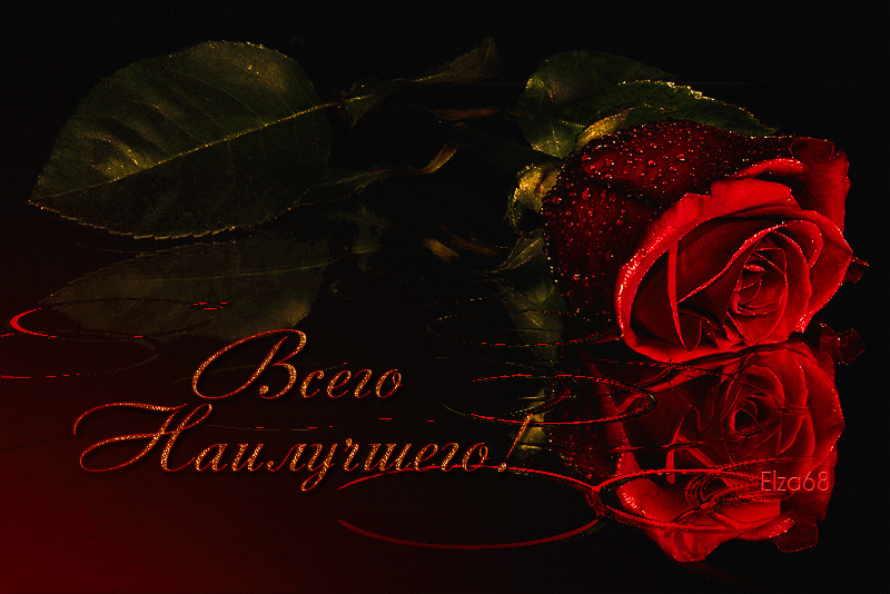 http://upforme.ru/uploads/0015/f8/d0/203/167618.gif