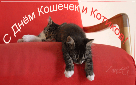 http://upforme.ru/uploads/0015/f8/d0/203/20144.gif