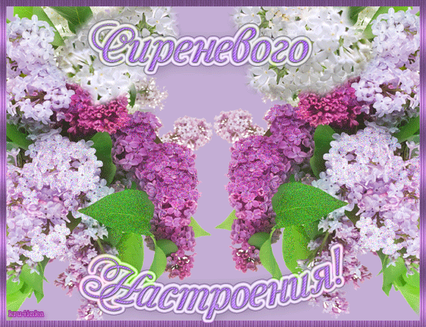http://upforme.ru/uploads/0015/f8/d0/203/298595.gif