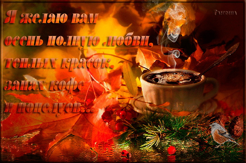 http://upforme.ru/uploads/0015/f8/d0/22/162056.gif
