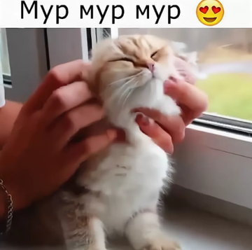 http://upforme.ru/uploads/0015/f8/d0/237/t11425.png