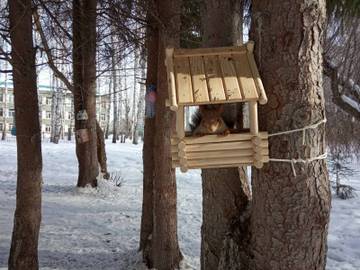 http://upforme.ru/uploads/0015/f8/d0/237/t27830.jpg